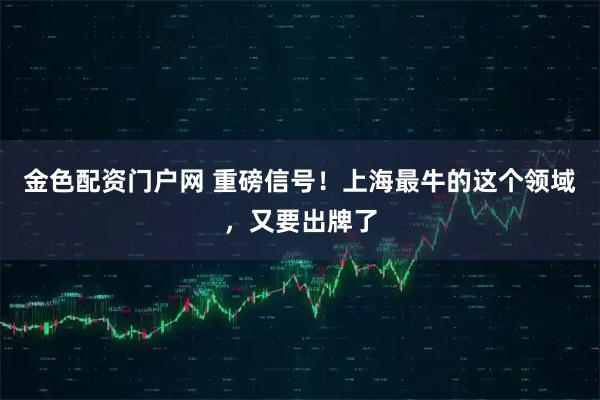 金色配资门户网 重磅信号！上海最牛的这个领域，又要出牌了