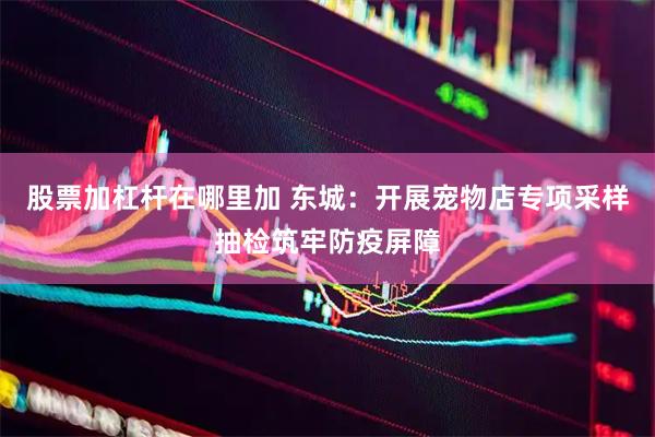 股票加杠杆在哪里加 东城：开展宠物店专项采样抽检筑牢防疫屏障